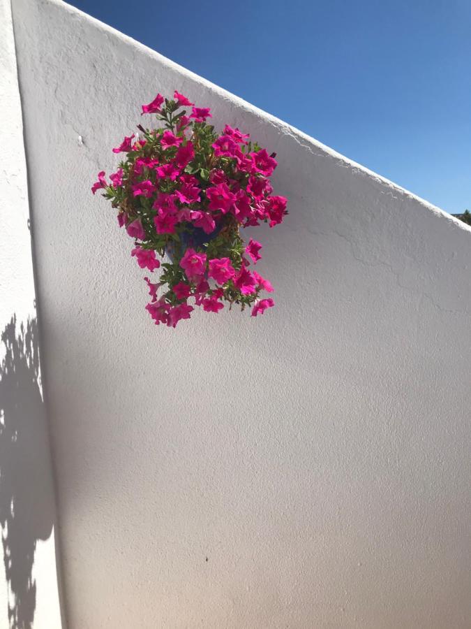 Bonita Casa Adosada Empuriabrava Exterior photo